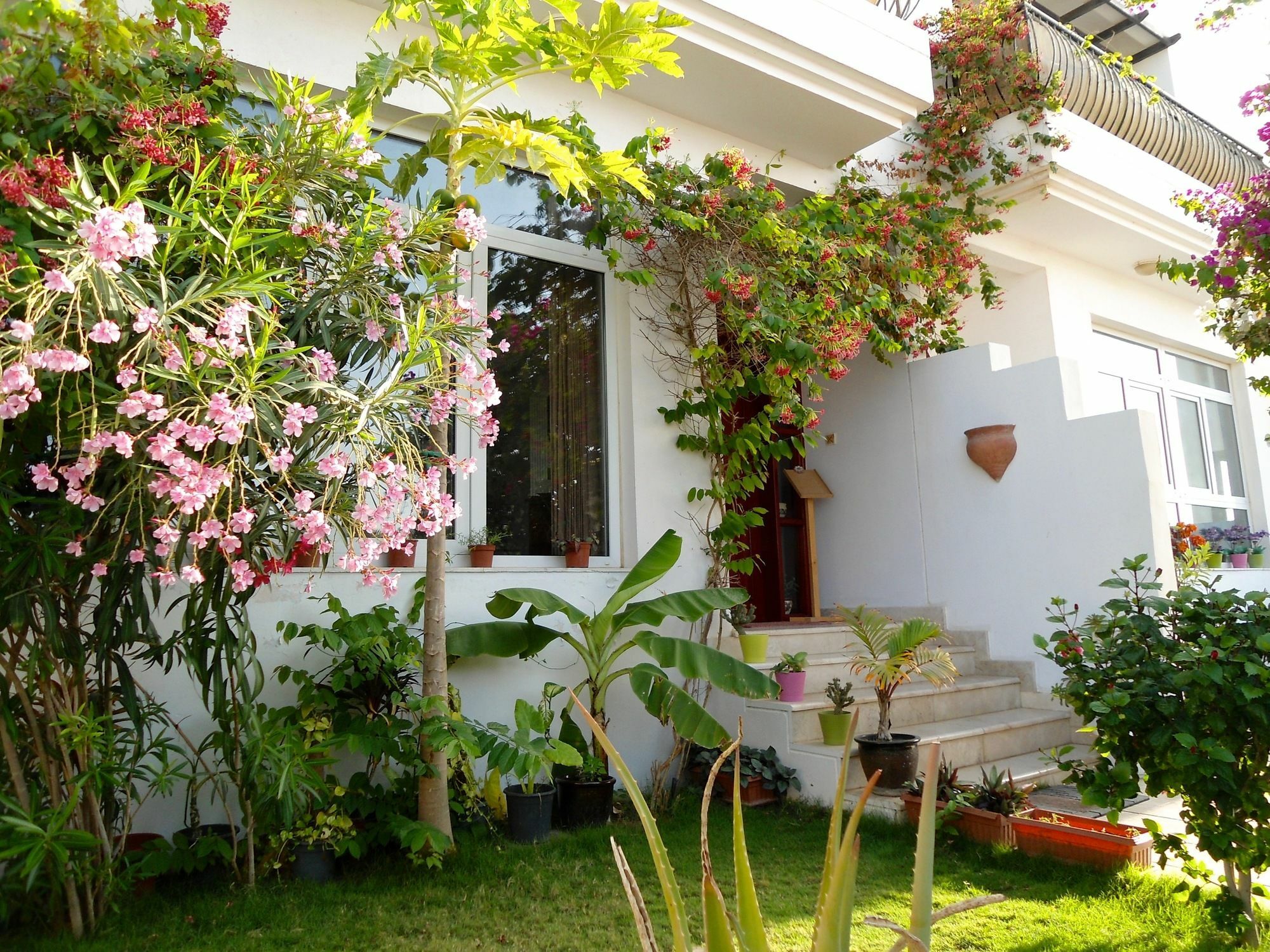 Lana Villa Maskat Dış mekan fotoğraf