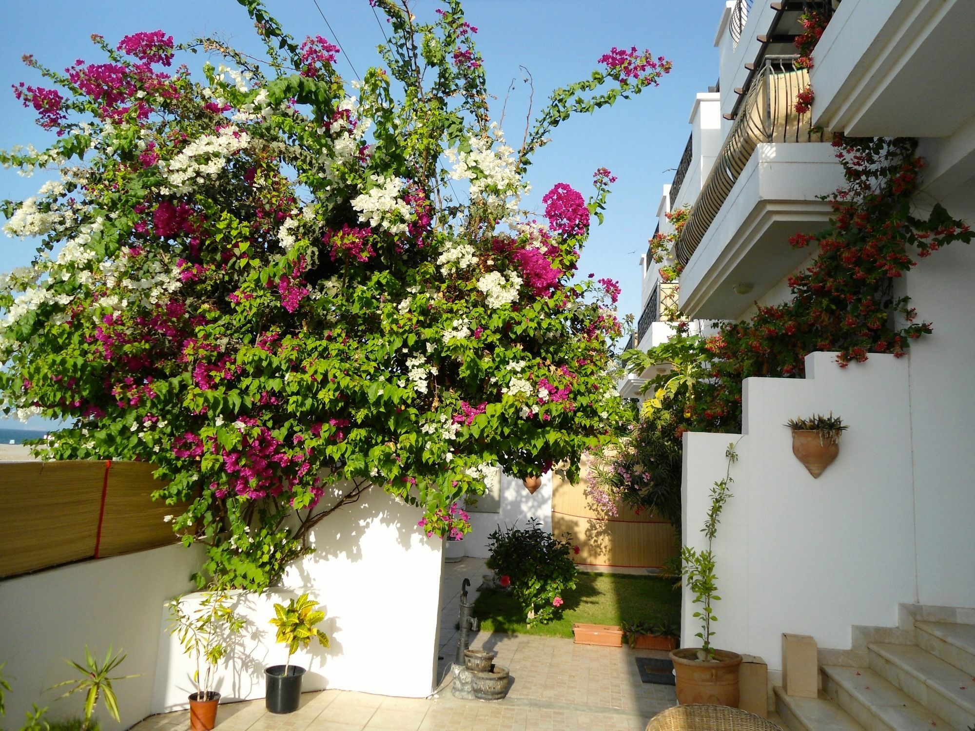 Lana Villa Maskat Dış mekan fotoğraf